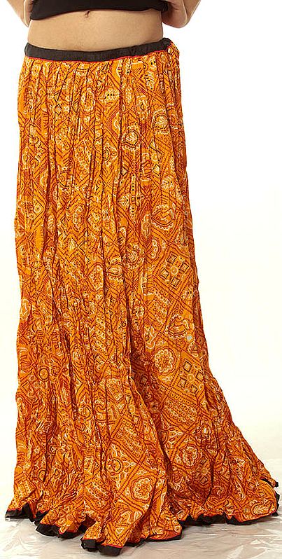 Ghagra Skirt from Rajasthan with Chunri Print