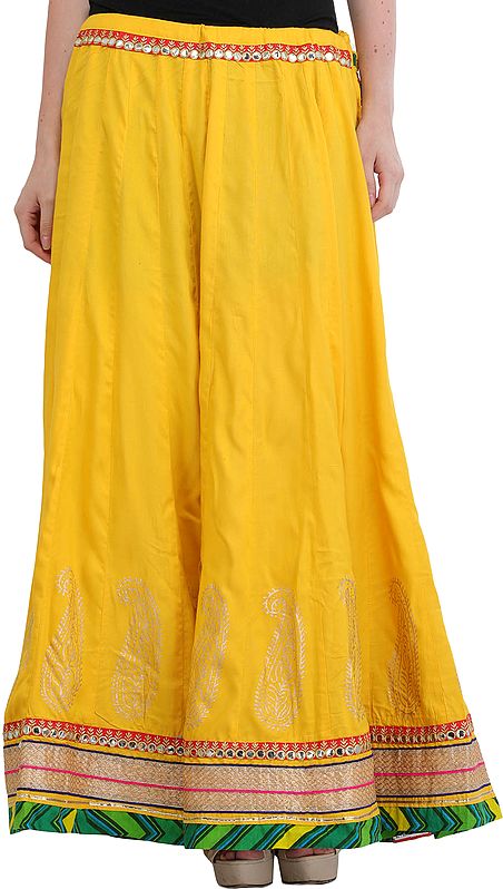 Ghagra Skirt from Jodhpur with Gota Border and Mirrors