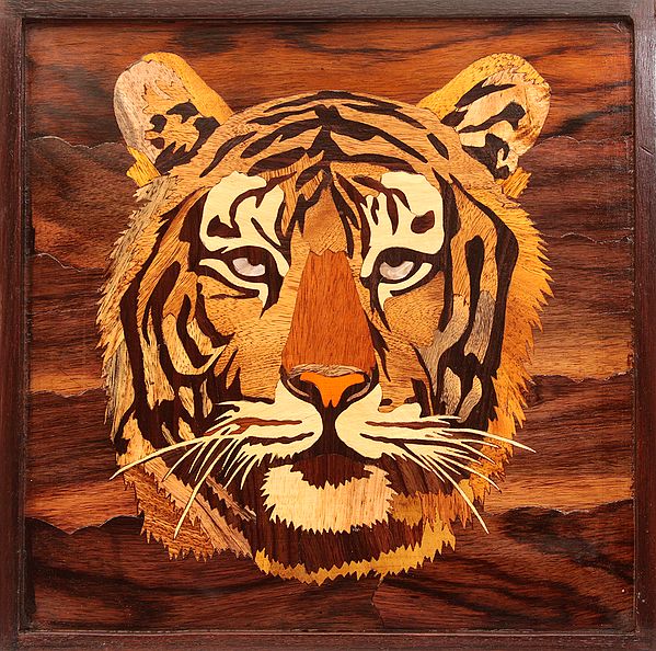 Tiger Face (Framed)