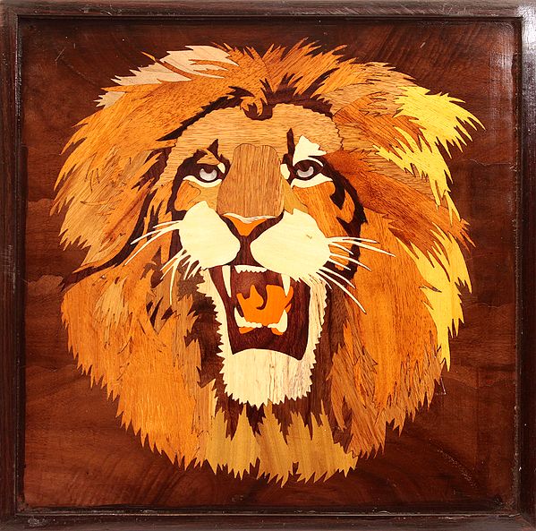 Lion Face (Framed)
