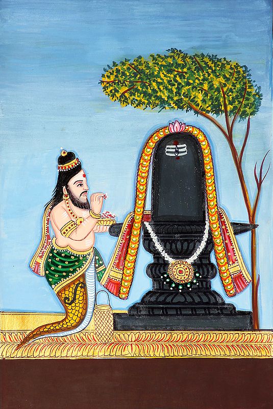 Prayer Offering to Shiva Linga