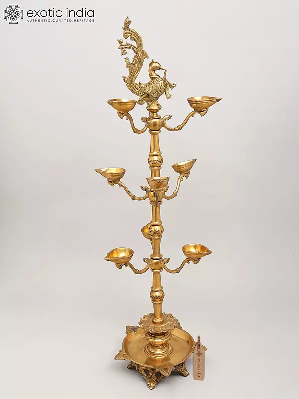 36" Large Multi Wicks Peacock Lamp in Brass