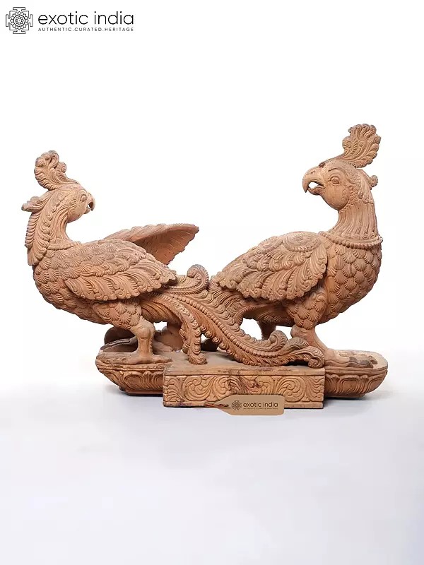 Pair of Carved Wood Peacocks on Decorative Base