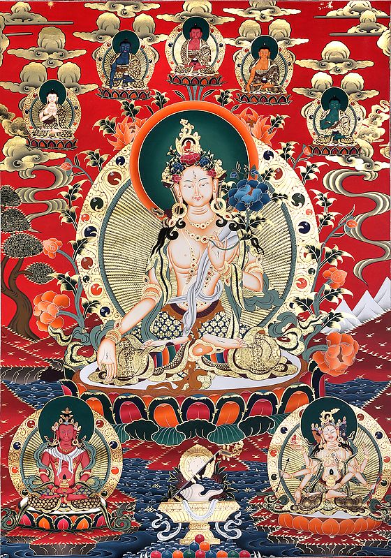 Superfine White Tara With Five Dhyani Buddhas - Tibetan Buddhist Super Large Thangka