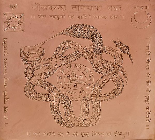 Neelkantha Nagapash Chakra (Yantra Prevents from Snake Biting)
