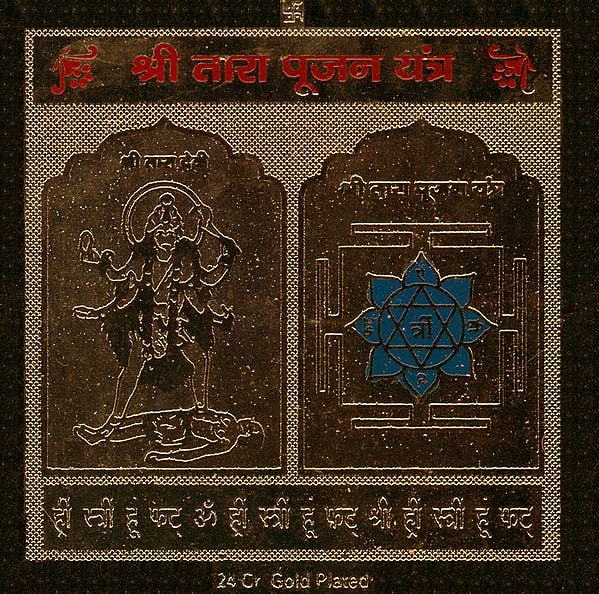 Shri Tara Pujan Yantra