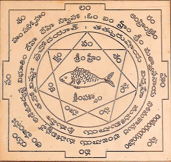 Matsya Yantra for Vastu Doshas (Telugu)