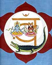 Svadhisthana Chakra (Second Chakra)