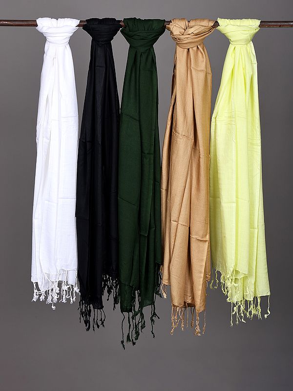 Lot of Five Plain Stoles with String Fringe Border