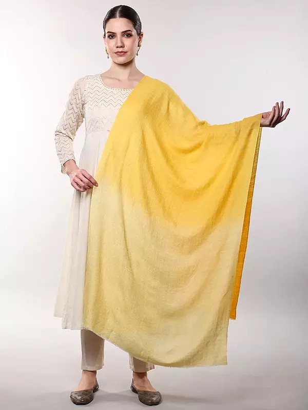 Buff-Yellow Lightweight Dual-Shaded Plain Stole
