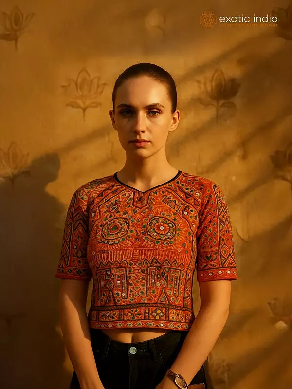 Carrot-Orange Backless Choli from Kutch with Embroidered Motifs and Mirrors