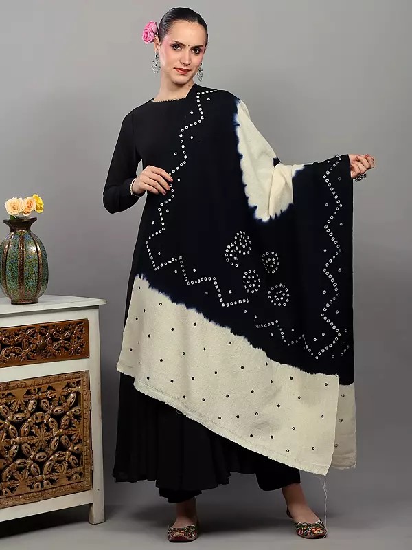 Double Shaded Bandhani Tie-Dye Shawl with Mirror Embroidered Palla from Gujarat