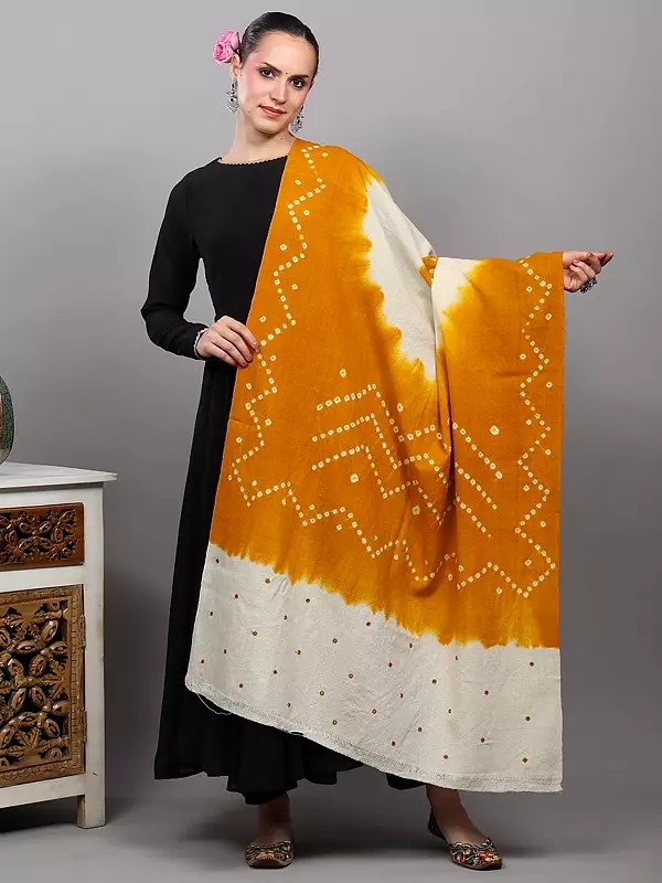 Double Shaded Bandhani Tie-Dye Shawl with Mirror Embroidered Palla from Gujarat