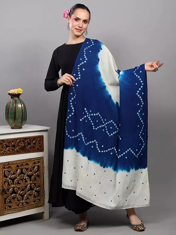 Double Shaded Bandhani Tie-Dye Shawl with Mirror Embroidered Palla from Gujarat