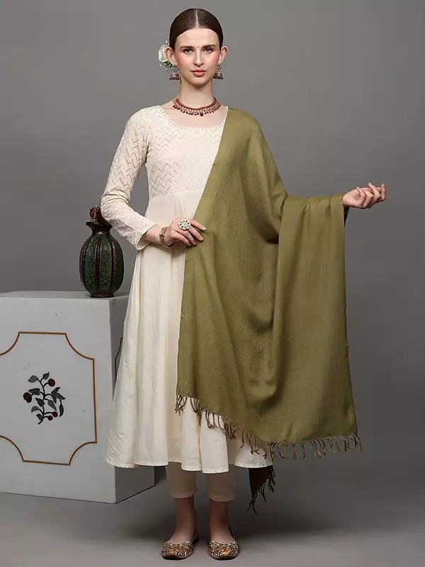 Plain Tusha Stole from Kashmir