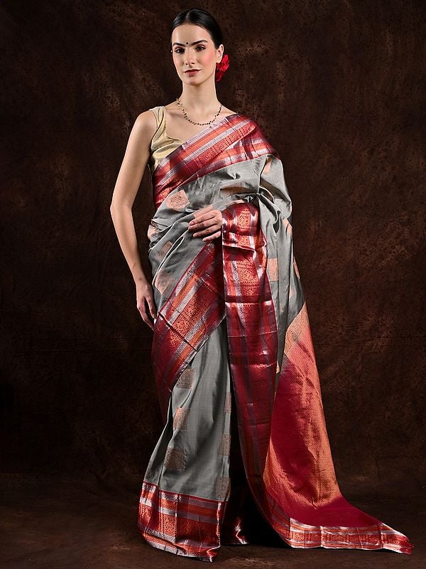 Neutral-Gray Pure Silk Kanjivaram Saree from Bangalore with Woven Motifs in Copper Colored Thread and Elephant Border