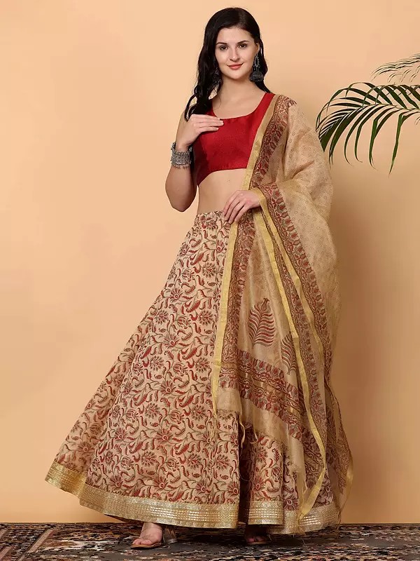 Maroon Silk Lehenga Choli With Traditional Block Print And Chanderi Dupatta Ethnic Wear