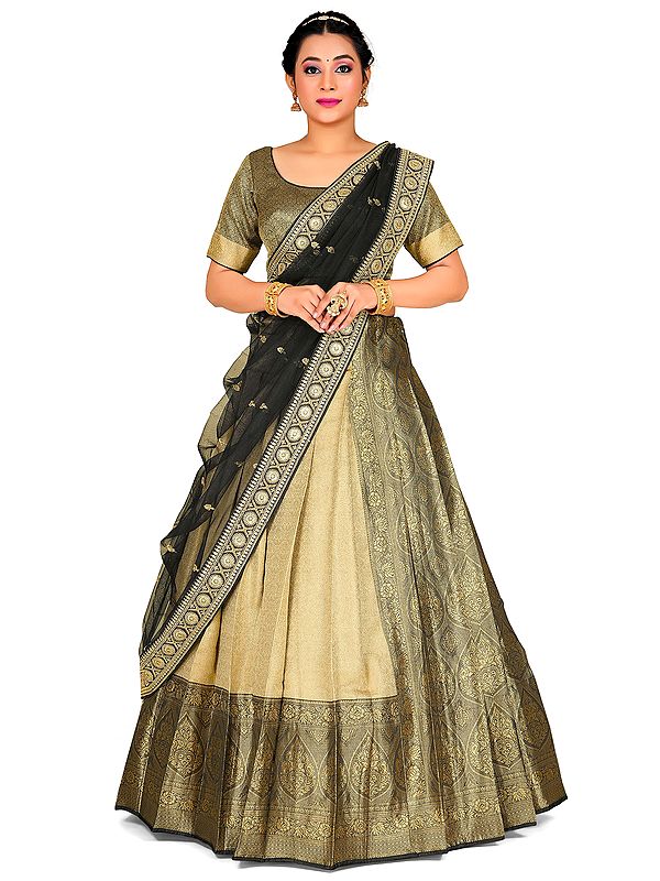 Chiku Color Zari Woven Mughal Paisley Pattern Banarasi Half Saree Style Lehenga Choli With Black Dupatta