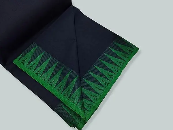 Blueberry Pure Cotton Handwoven Plain Saree