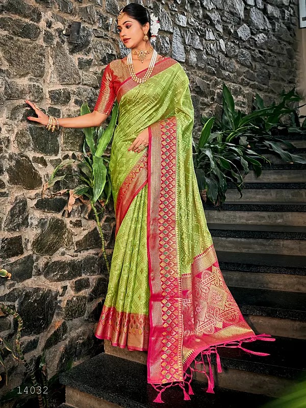 Organza Tassel Saree and Flower Motif in Pallu with Blouse