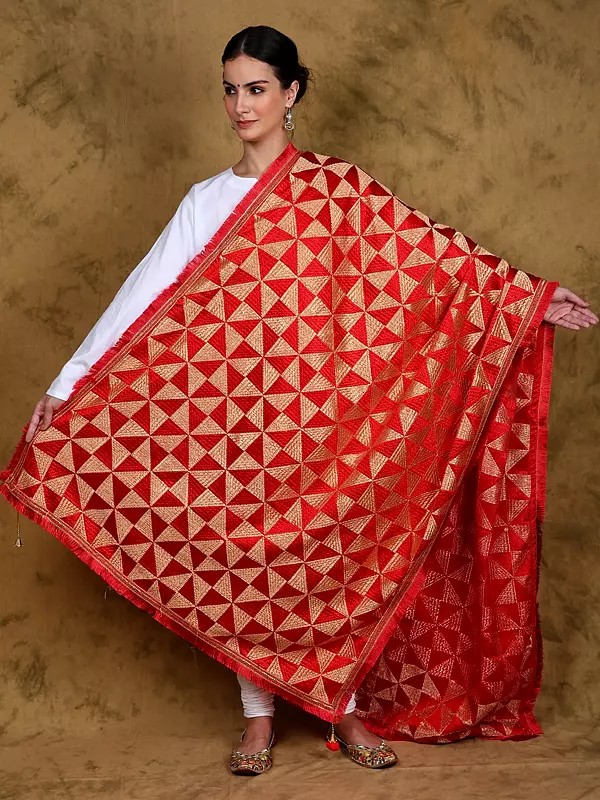 Phulkari Thread Embroidered Dupatta from Punjab with Jhalar Border and Latkan Pallu