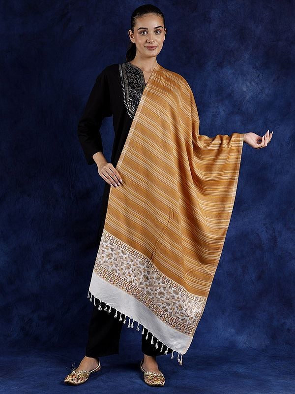 Multicolor Stripe Pattern Stole from Punjab with Woven Motifs