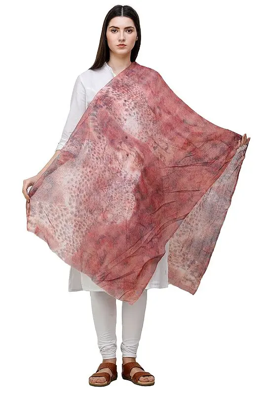 Peach-Beige Digital Print Wool Stole from Amritsar
