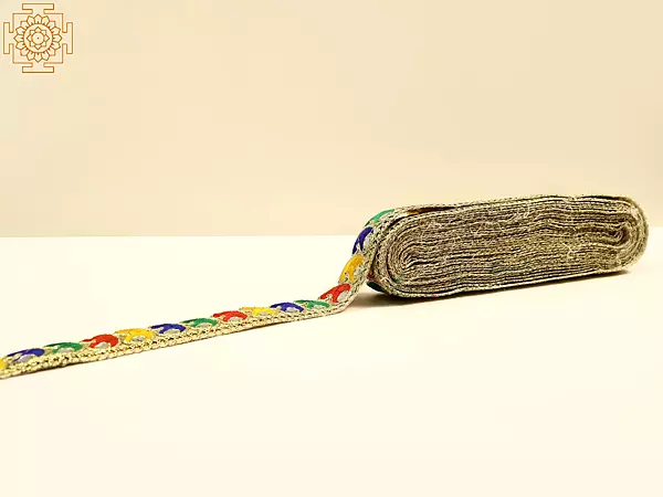 Multicolor Thread Embroidered Paisley Border with Mirror Work
