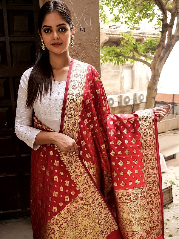 Banarasi Dupatta with All-Over Chakra-Chowkadi Butta and Vine Pattern Broad Border