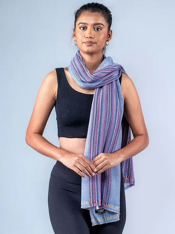 Pashmina Stole with Multicolor Stripe Pattern