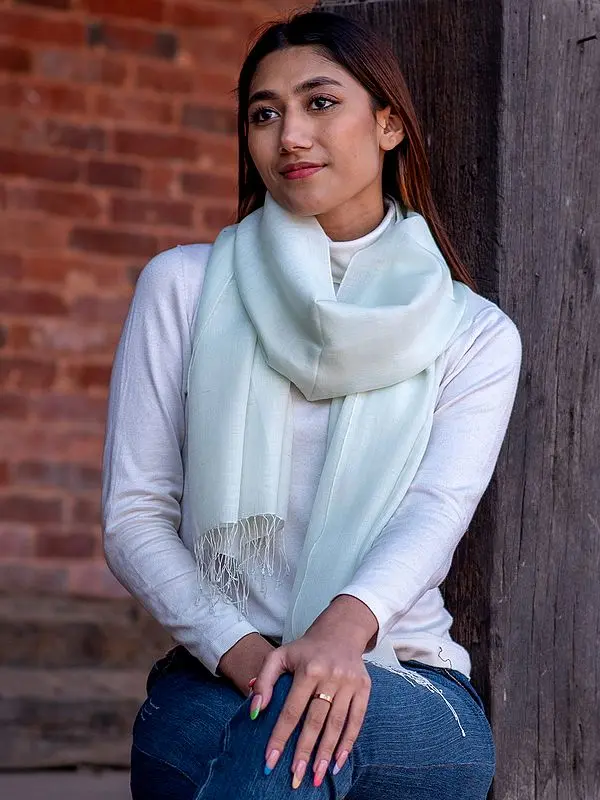 Pashmina Silk Plain Weave Stole from Nepal with Fringe