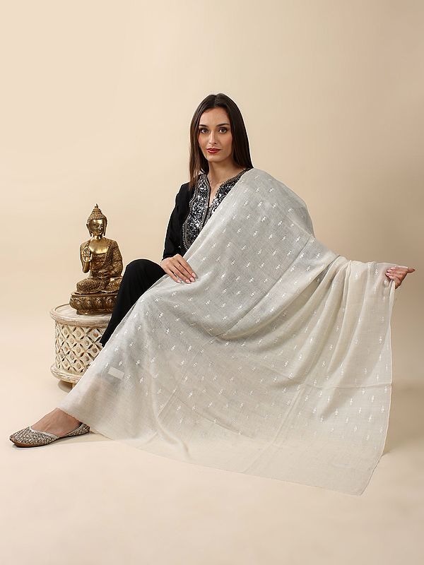 Arctic-Wolf Pure Pashmina Silk Thread Sozni Hand-Embroidered Shawl with Neat Floral Pattern