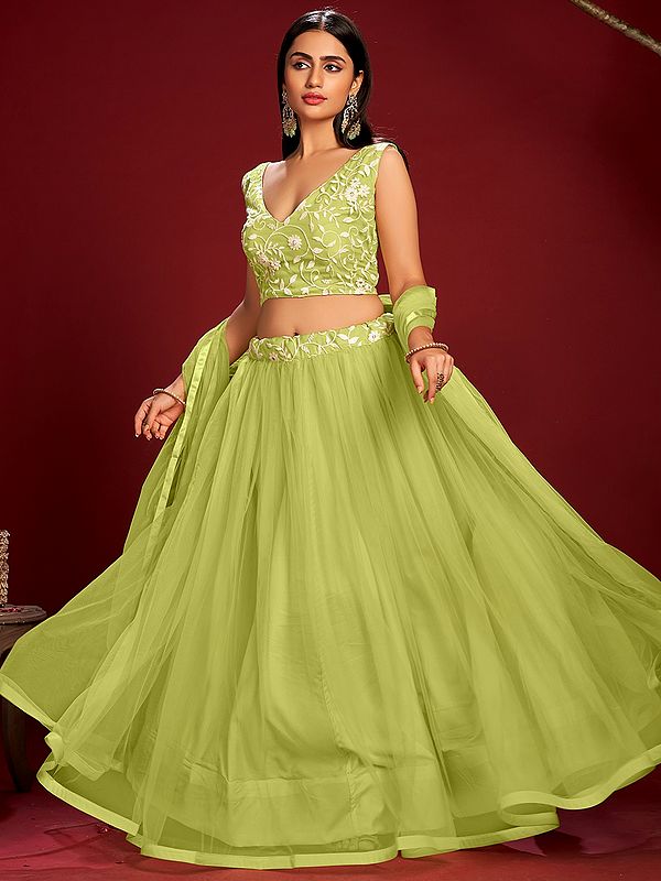 DaiquiriGreen Net Lace Work Lehenga with Floral Vine Pattern Taffeta