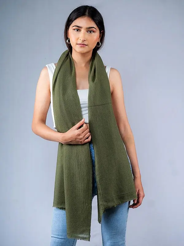 Olive-Branch Pure Pashmina Plain Weave Stole from Nepal