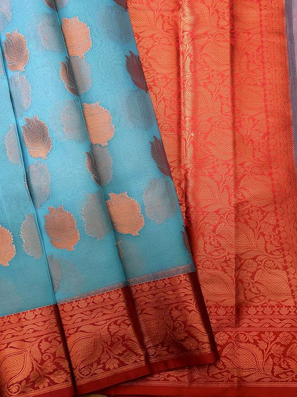 Banarasi Zari Phool Butta Organza Contrast Saree With Bail Pattern Border