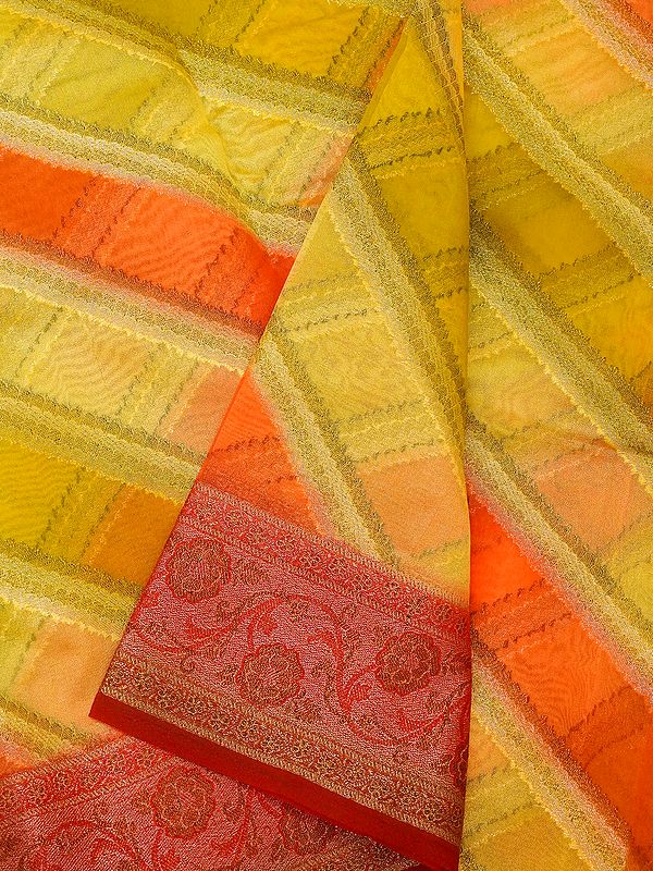 Multicolor Georgette Hand-Dye Printed Banarasi Saree with Ogee Floral Pallu & Vine Pattern Border
