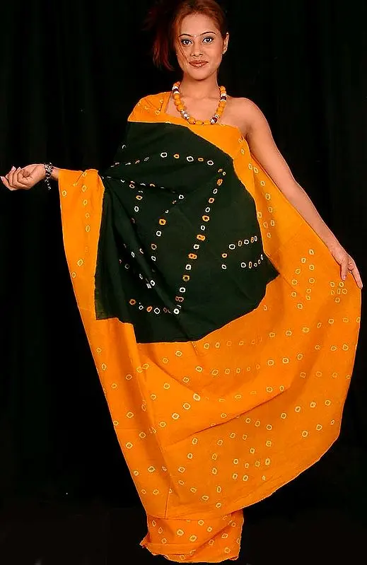 Batik Printed Sari