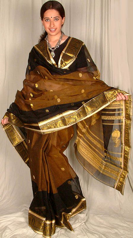 Black and Brown Sari with Paisley