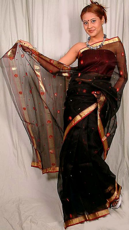Black Chanderi Sari with Golden Border