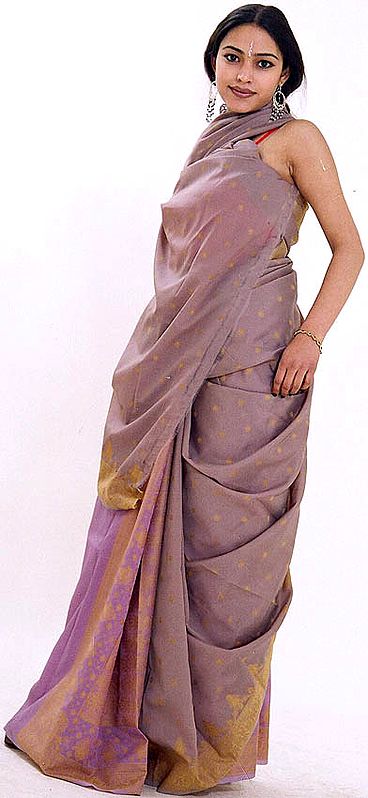 Brown and Light-Purple Banarasi Sari
