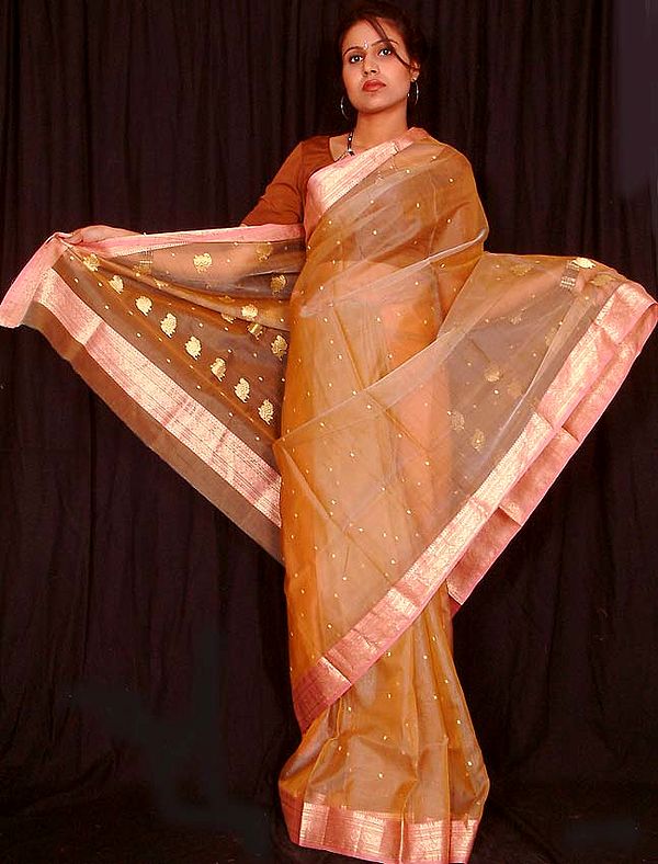 Chanderi Silk Sari