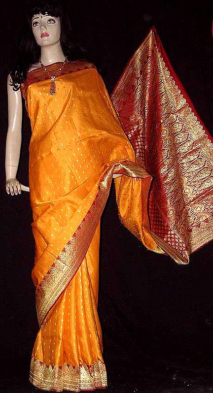 Golden Banarasi Sari with Red Pallau