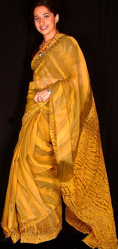 Golden Chiffon Sari