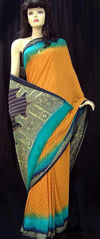 Multi Colored Chiffon Sari