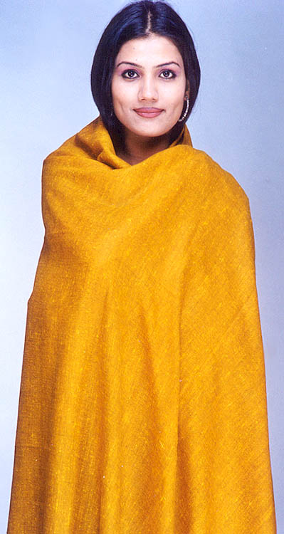 Plain Golden Shawl