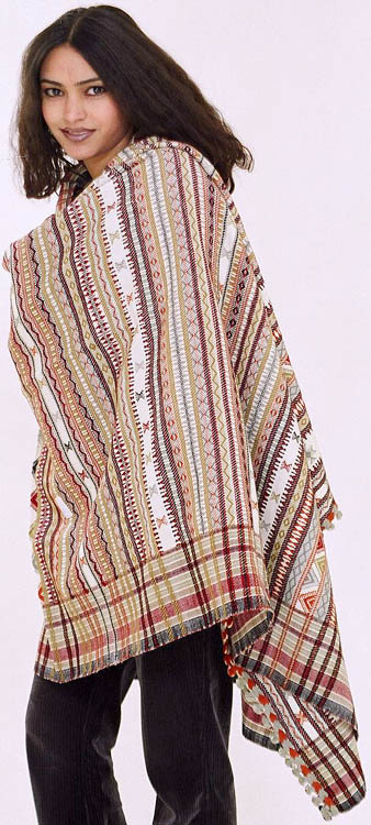 Ploychrome Shawl from Kutchh