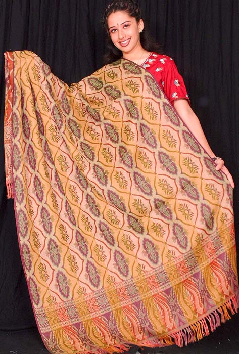 Pure Wool Shawl with Pahari Motif