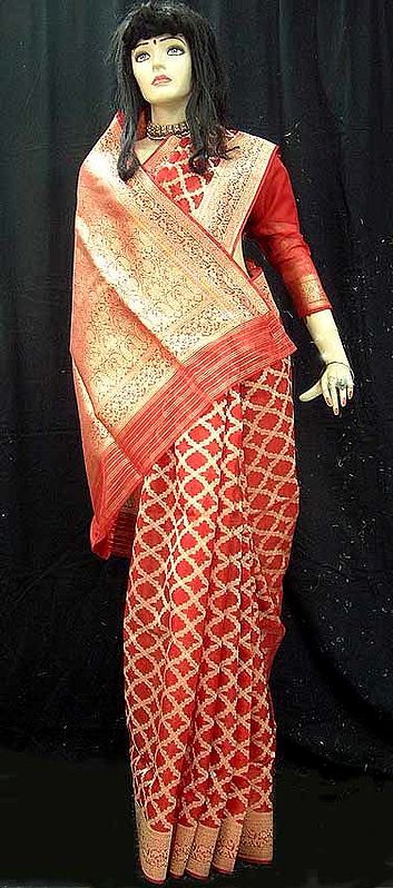Red Chanderi Sari With Benares Weaves