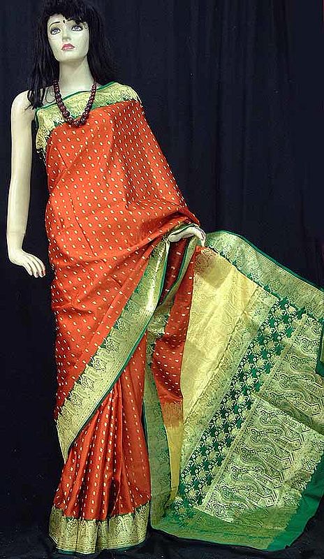 Rusted Green and Gold Saree for the Young (at heart)
