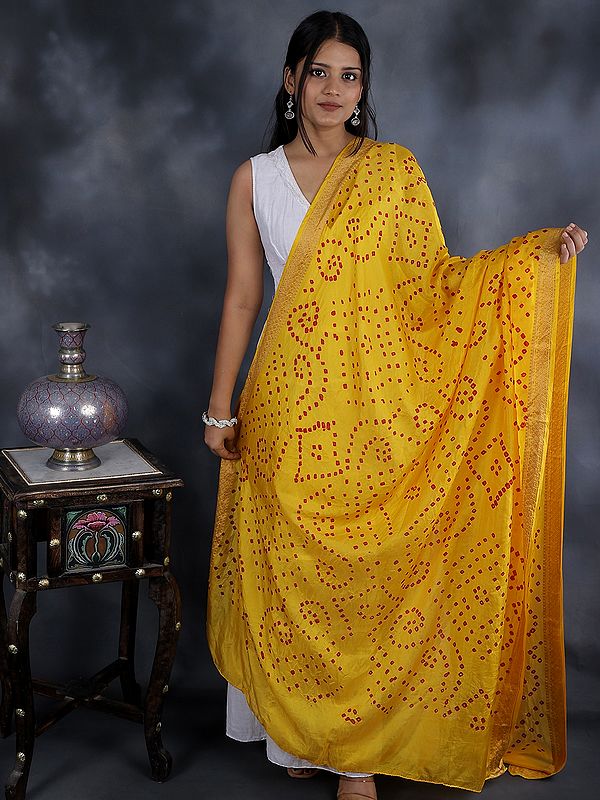 Tie-Dye Bandhani Dupatta From Gujarat with Embroidered Border